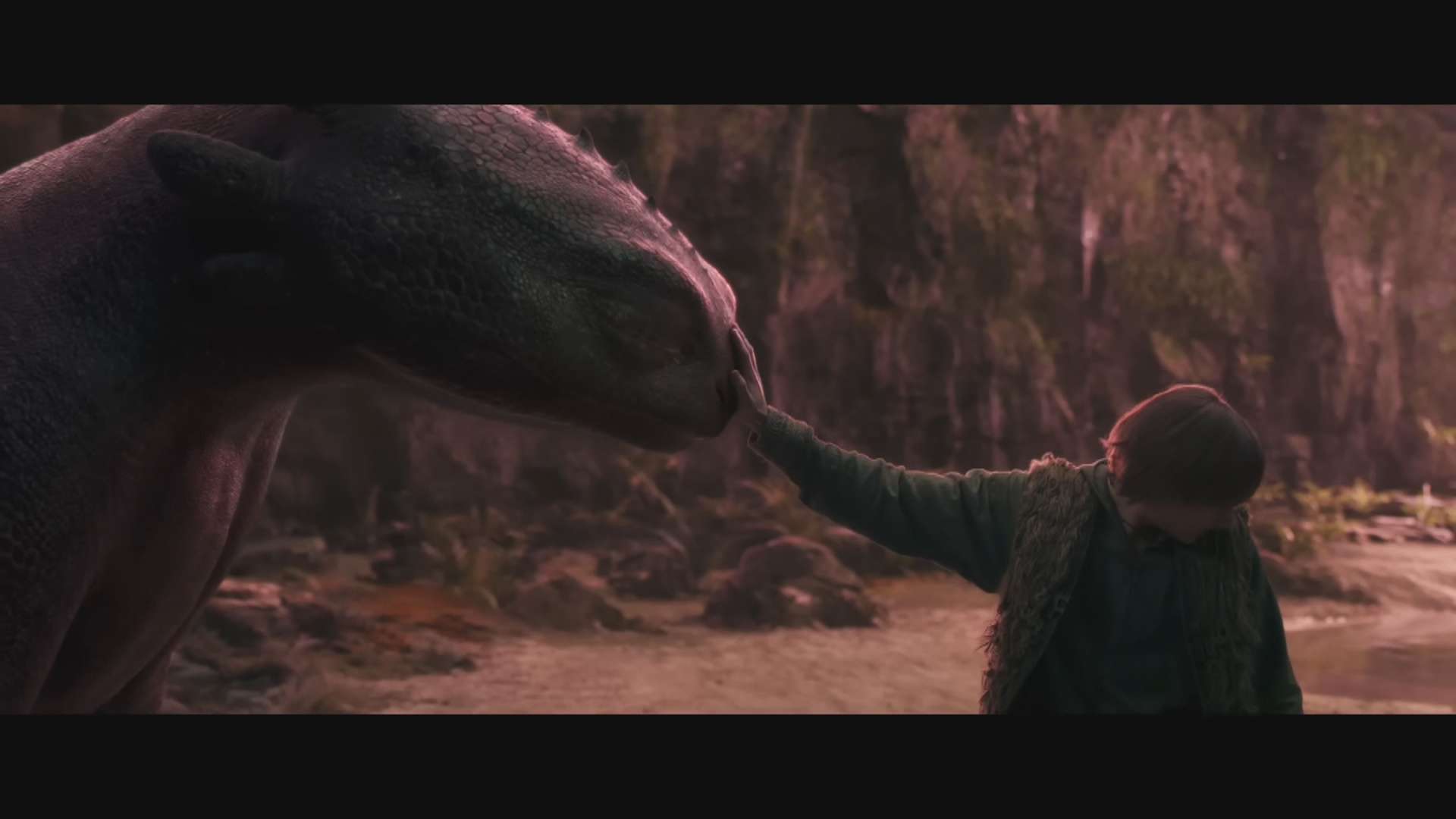 dragon13