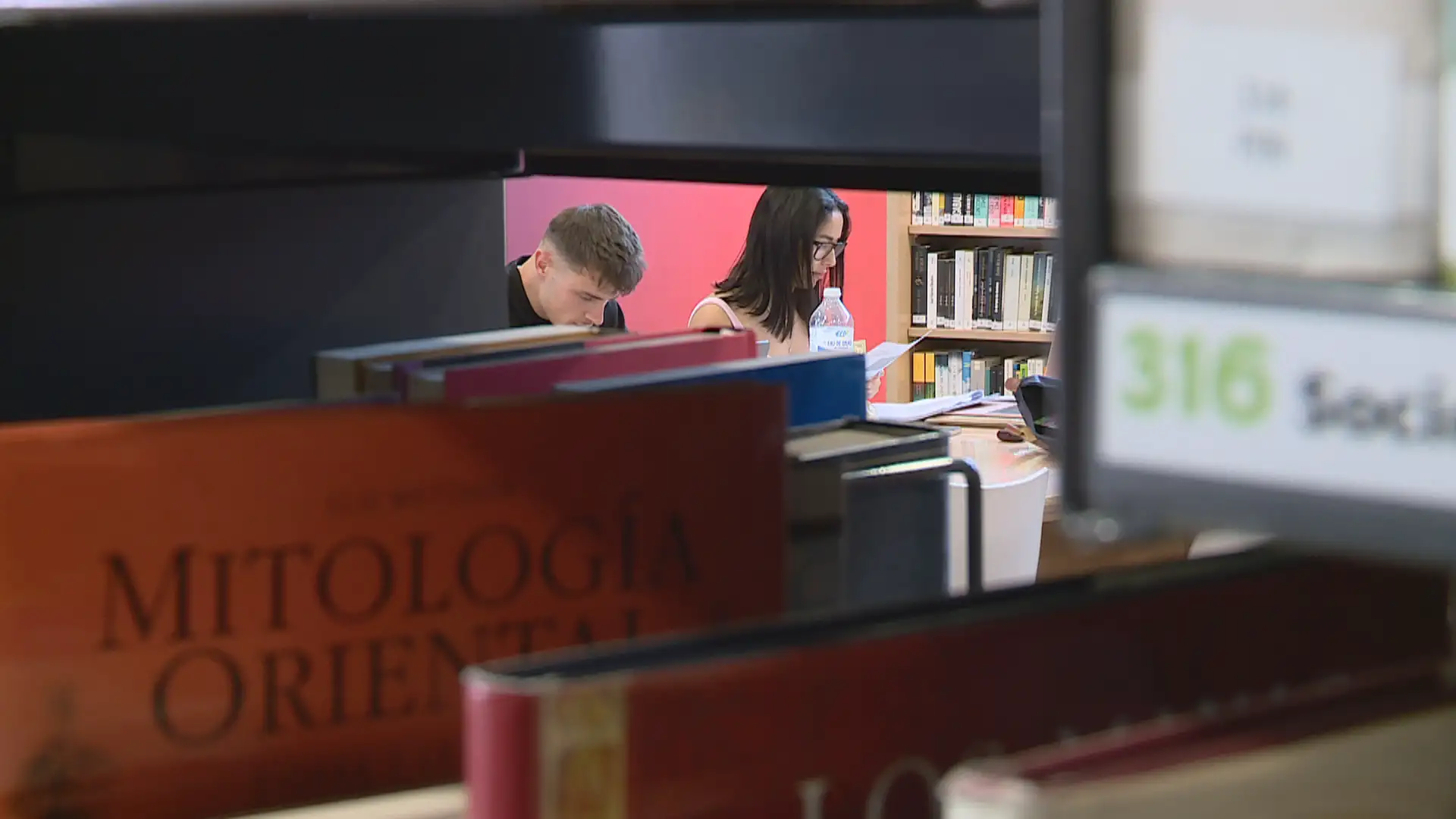 estudi13