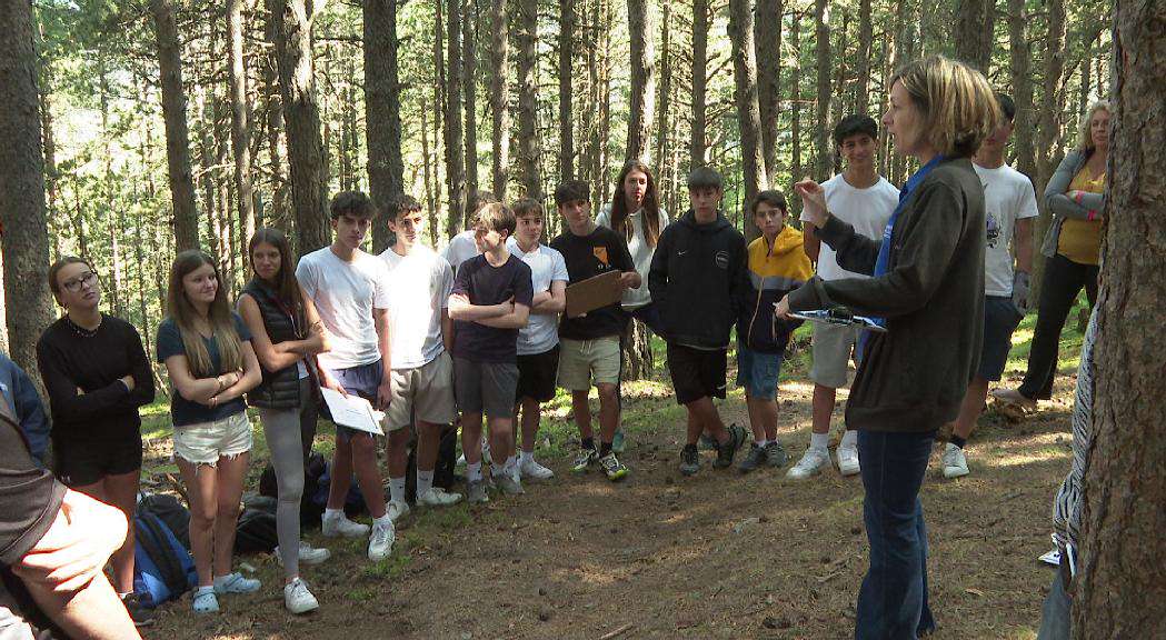 LABORATORI-FORESTAL20250616