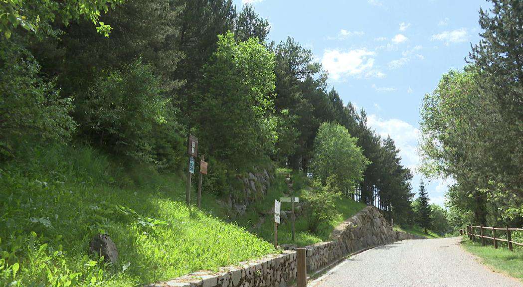 PLA-FORESTAL-ENCAMP-4120250622