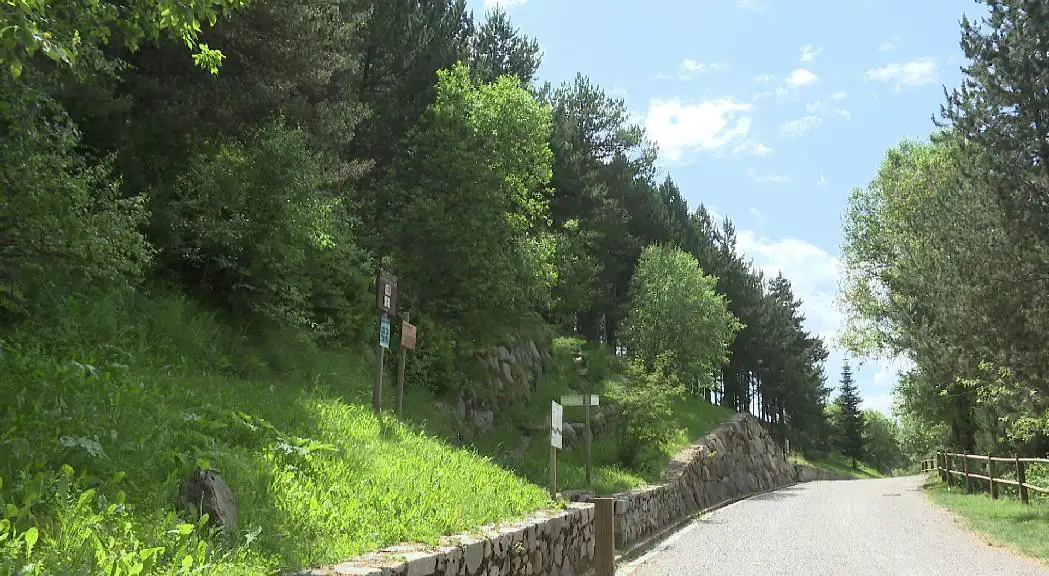 PLA-FORESTAL-ENCAMP-4120250622