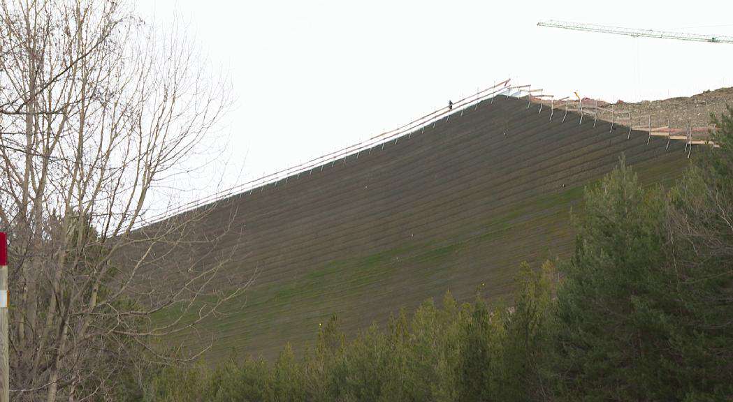 HAB-TALA-ARBRES20250625