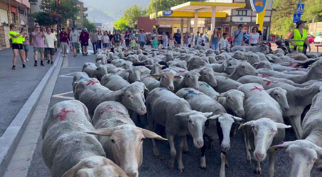 TRASHUM-NCIA-MASSANA20250628