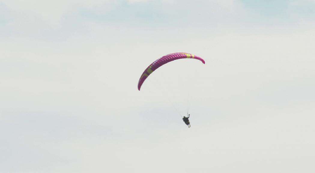 PARAPENT-ORGANY-20250720