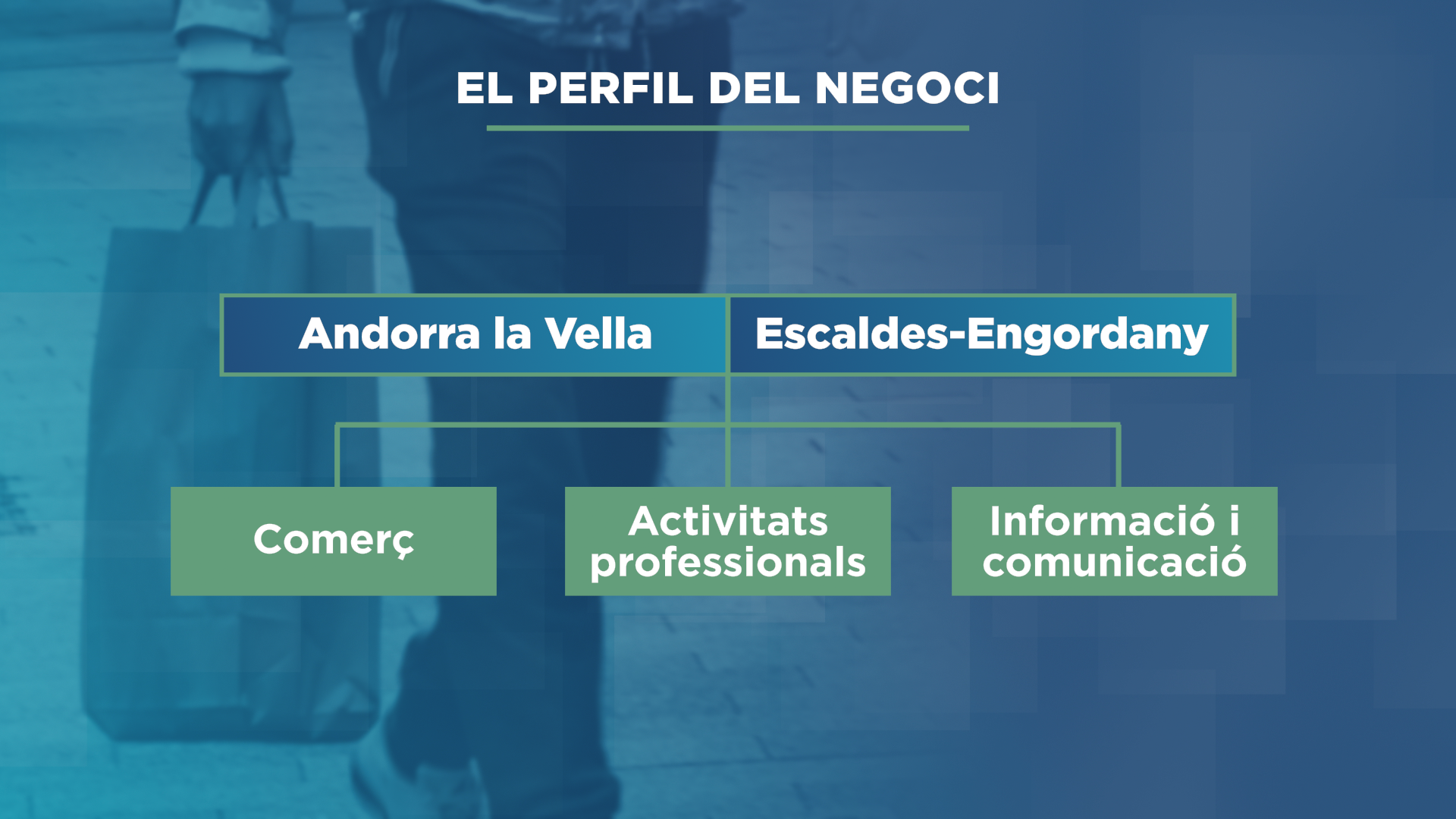 GRAFIC_COMERÇ_2.png