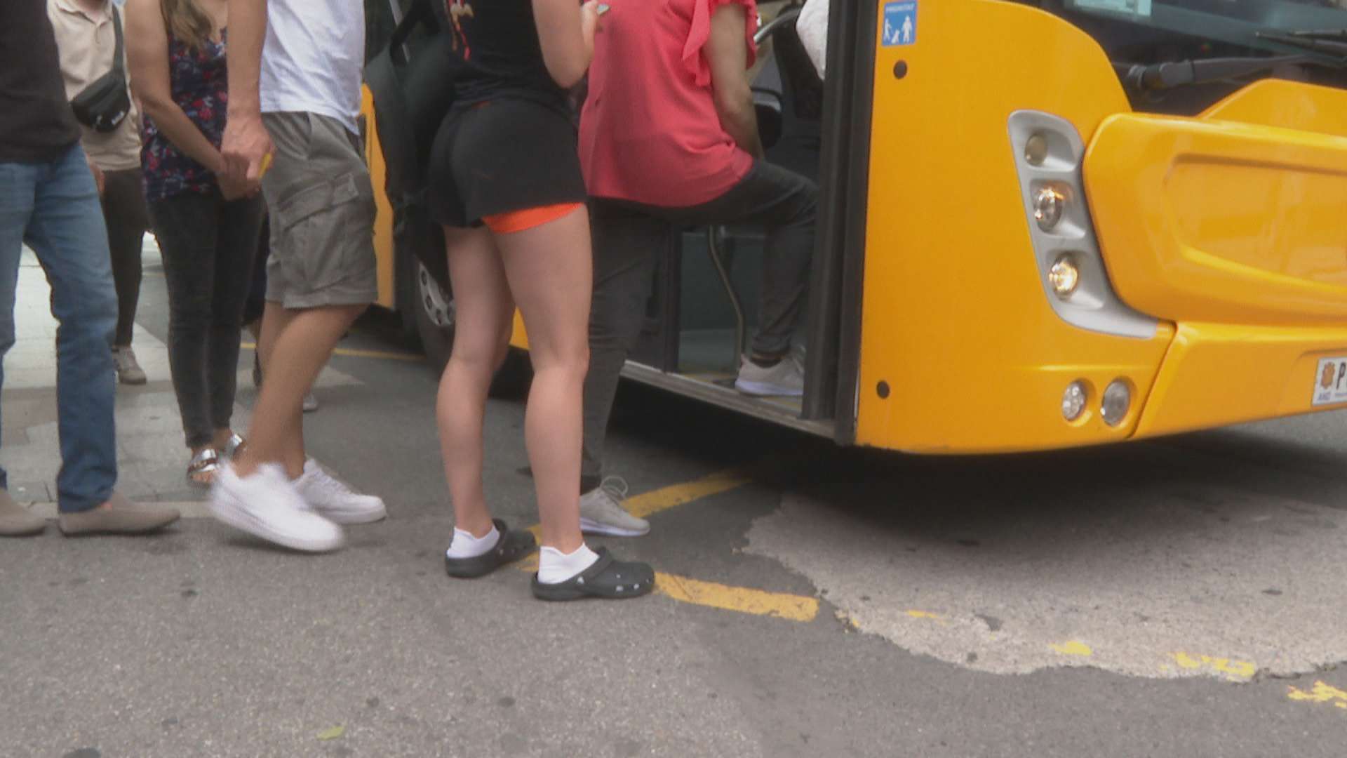 bus24