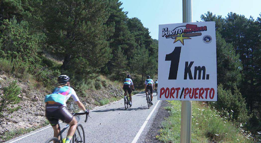 LA-PURITO20250730