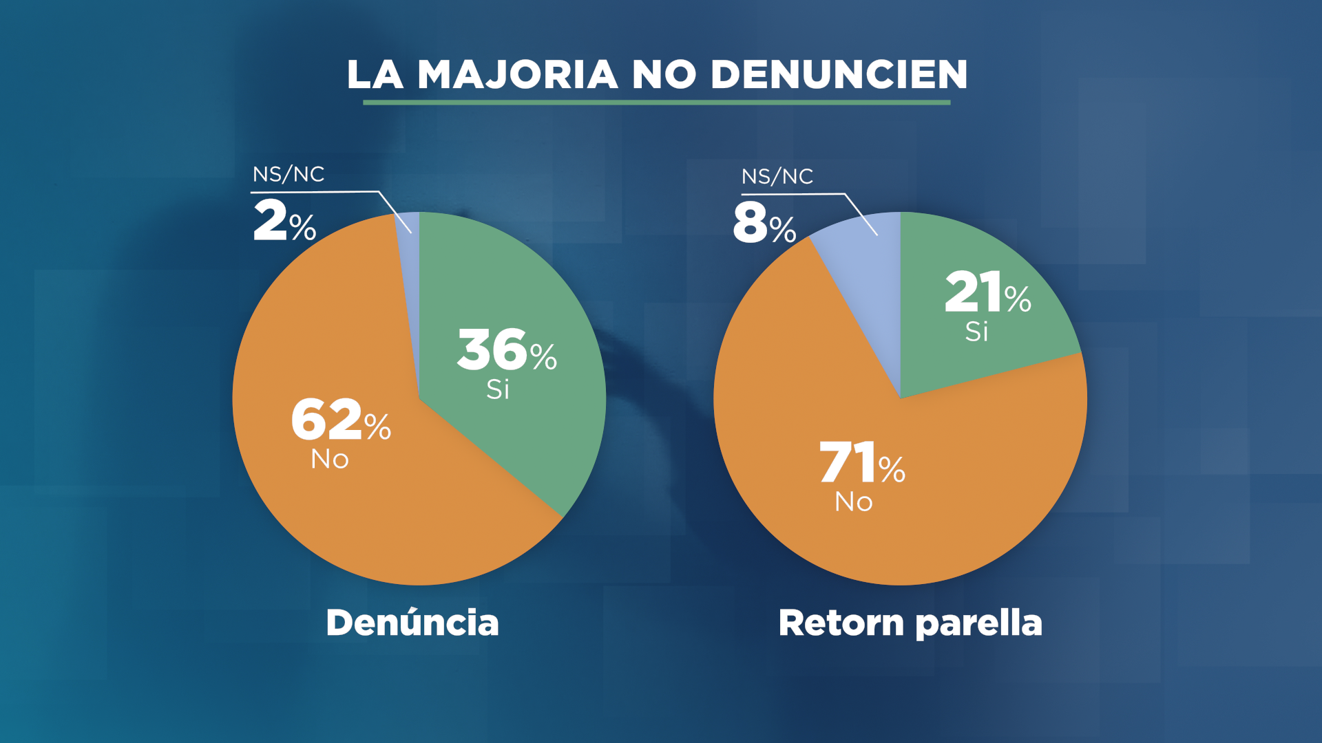 GRAFIC_TARTA_VIOLENCIA 4.png