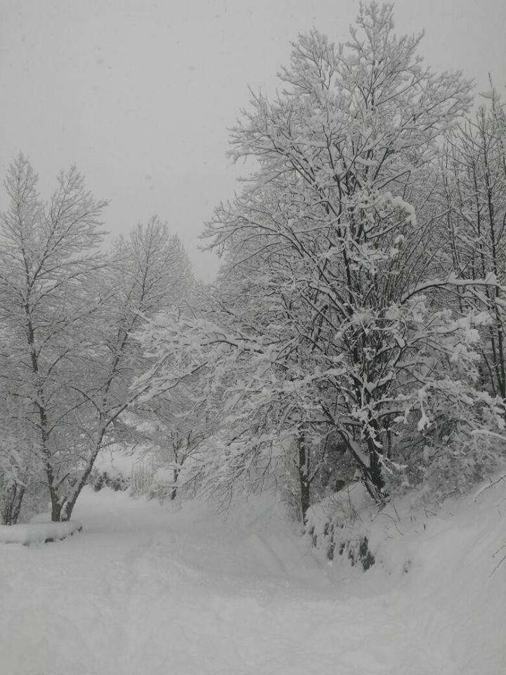 ana_bernacer_encamp_nevada_05022018