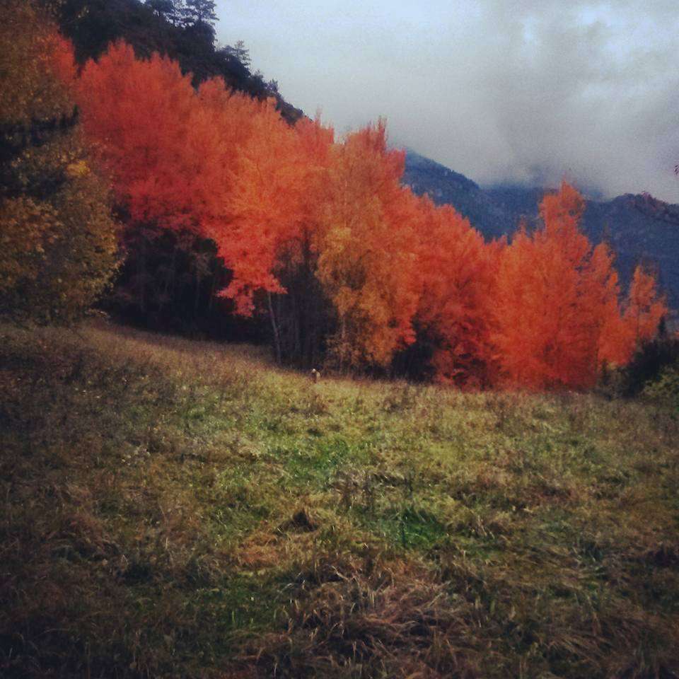 ari_no_bo__la_cortinada_a_la_tardor_rtva_andorradifusio