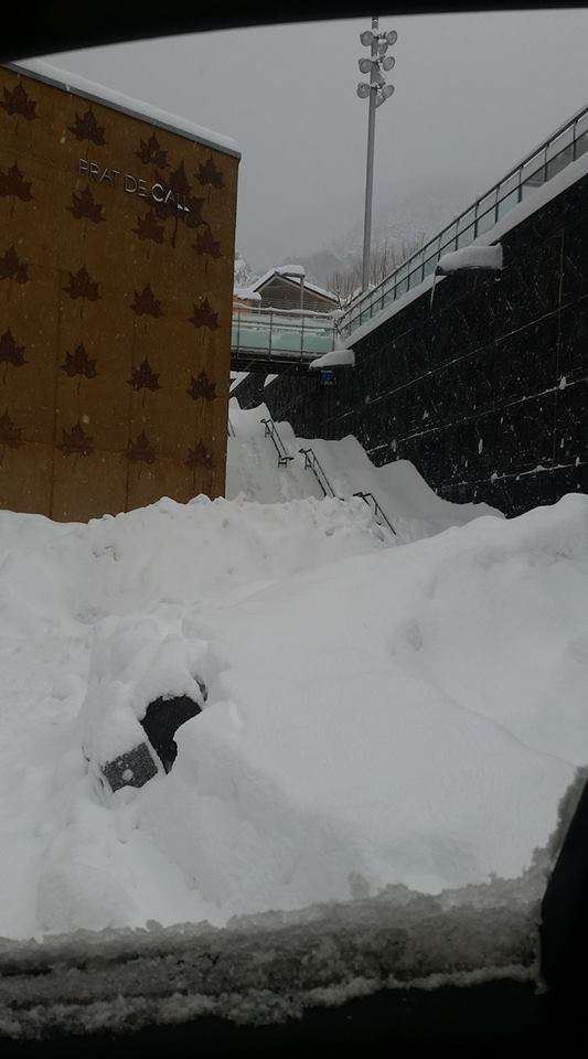 bet_sense_nevada_ordino_1612017
