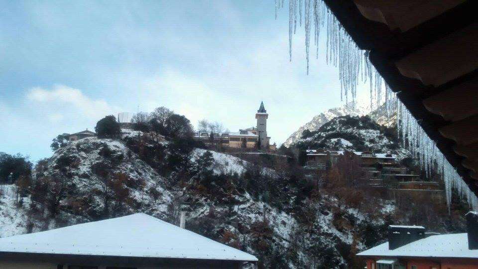 escaldes_engordany__brunus_miquelus