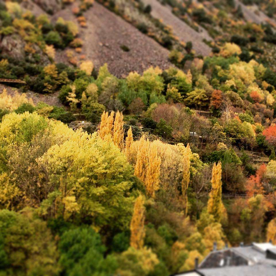 eva_del_olmo_tardor_andorra