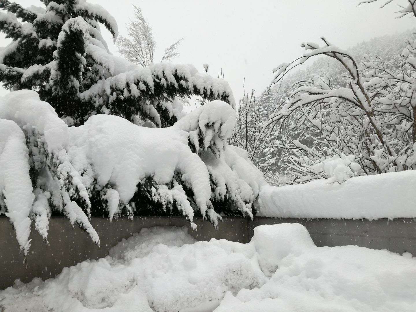 lena_val_la_massana_nevada_05022018