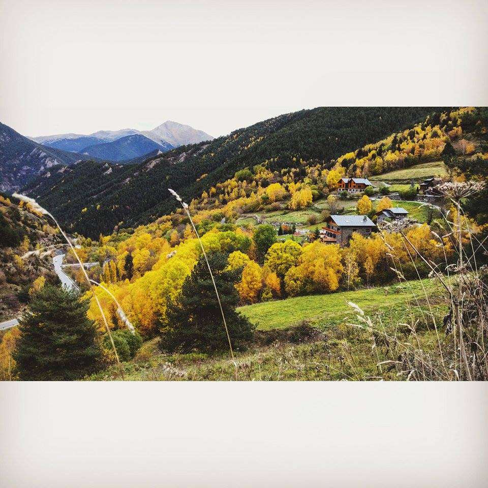 nuria_parolini_pal_a_la_tardor_rtva_andorradifusio_3