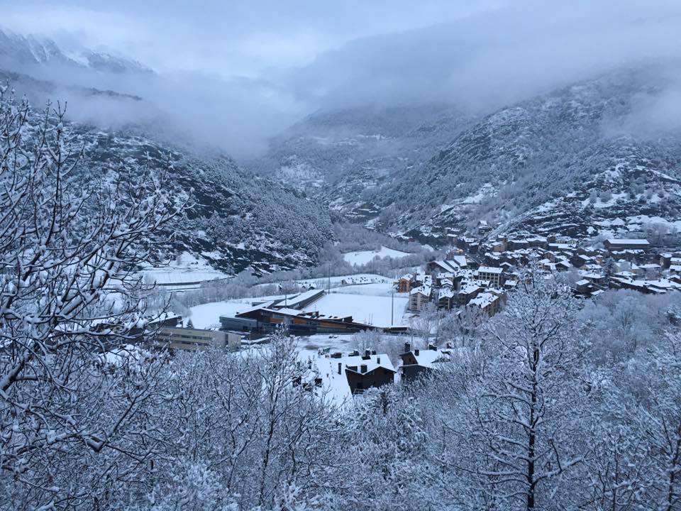ordino__babou_de_gueldere