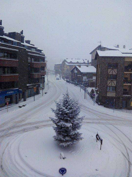 ordino_bianca_bolchis_1612017