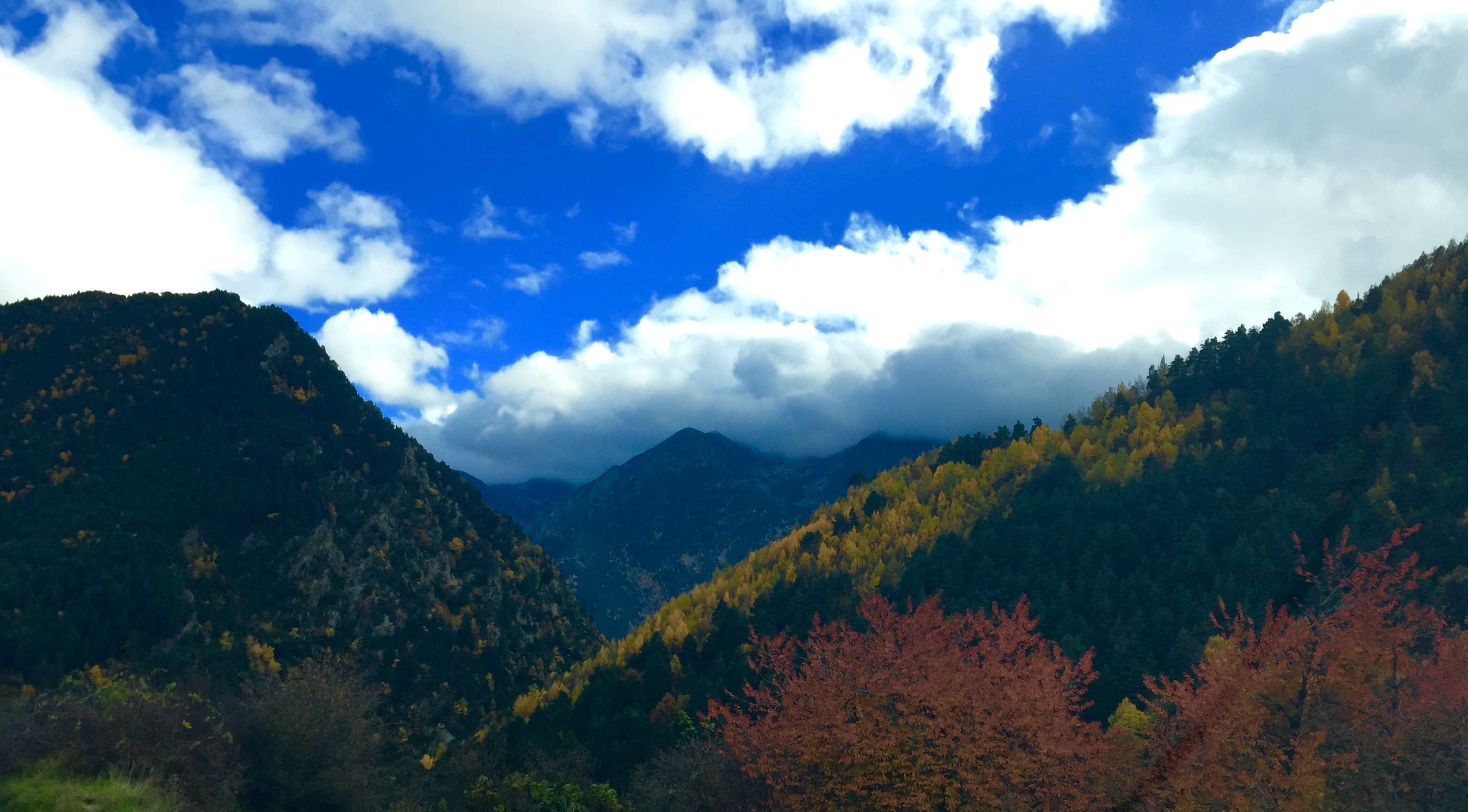 sispony_a_la_tardor_rtva_andorradifusio