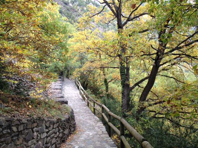 tardor_cami_de_la_margineda_a_santa_coloma_rtva