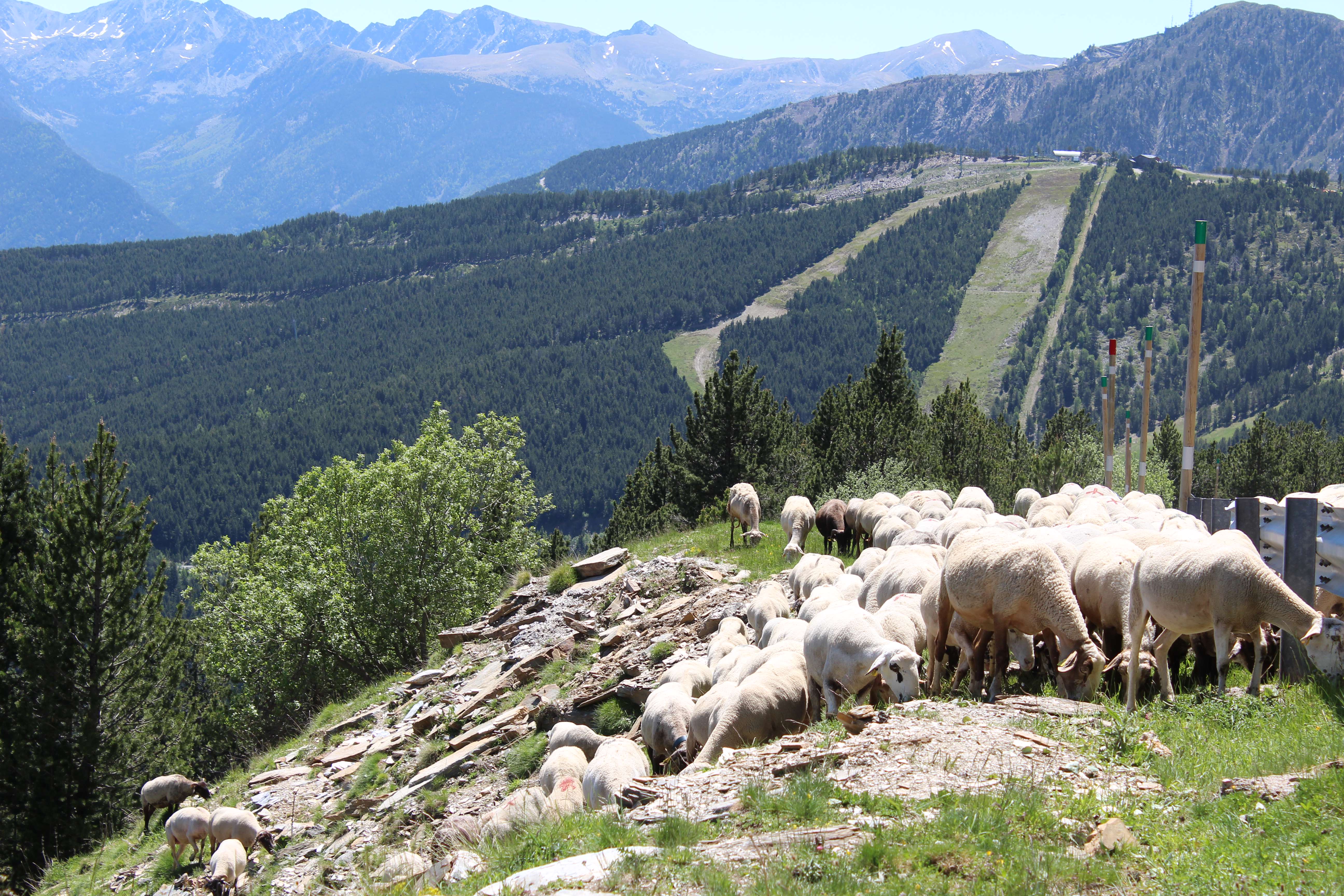 vistes_de_pal__pic_de_carroi_i_vall_del_madriu__rtva_andorradifusio_2016