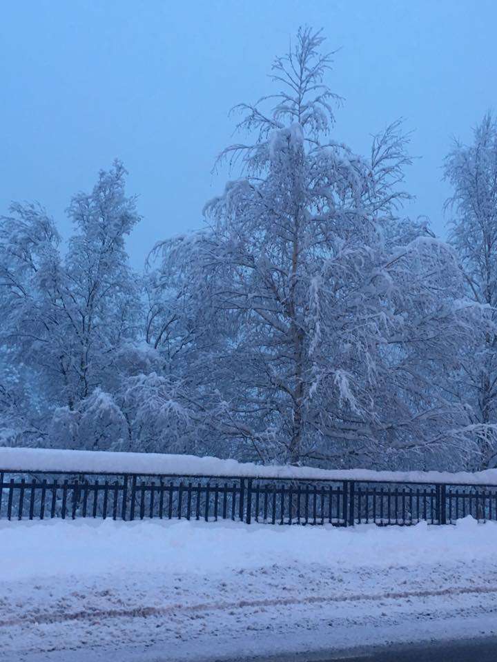 anna_haro_la_massana_nevada_05022018