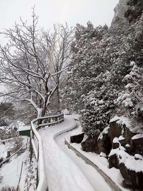 dulce_pereira_andorra_la_vella_4_nevada_08022018