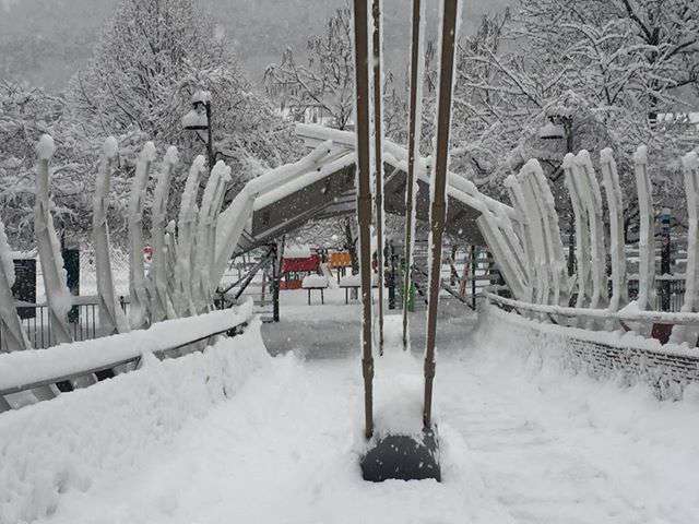 jose_luis_fajardo_parc_central_andorra_la_vella_23012019