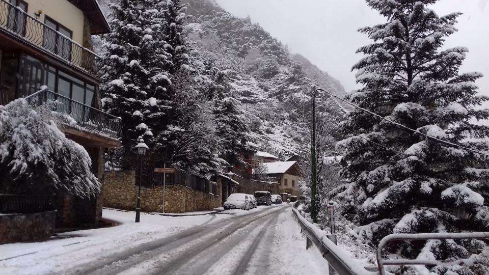 carretera_de_fontaneda__sant_julia_carmen_butron_29_01_2019