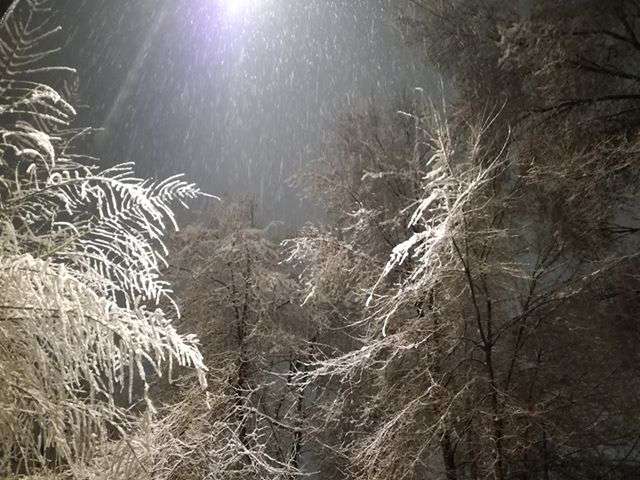 lena_val_nevada_29012019