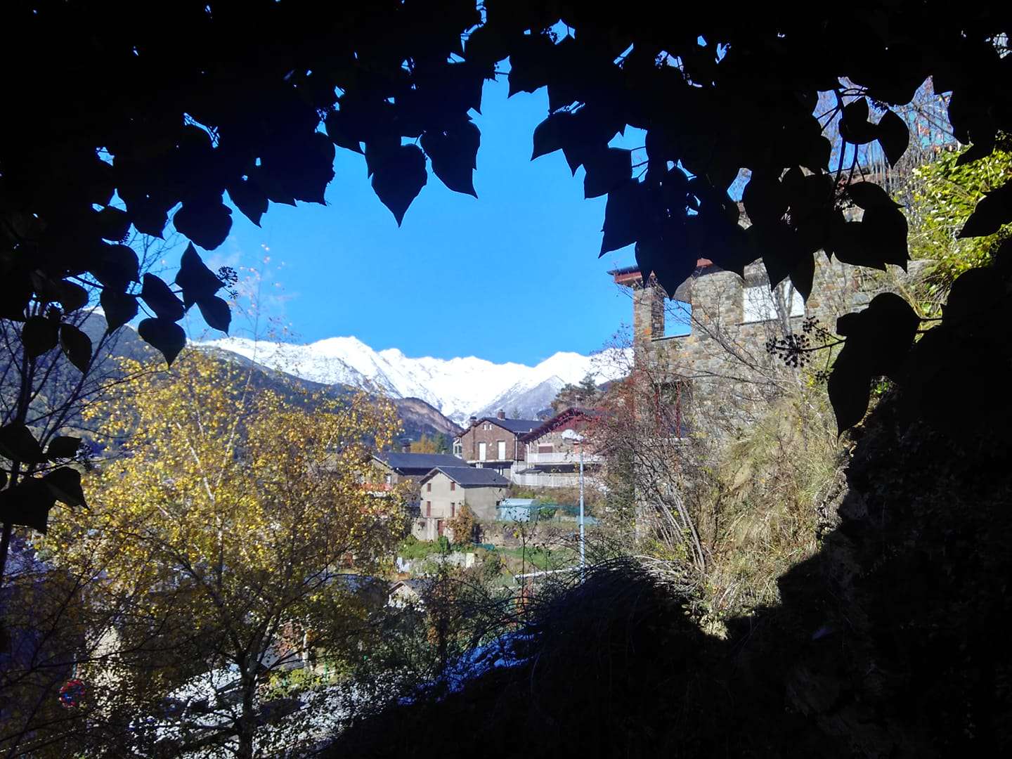 neu_ana_folch_anyos_17112019