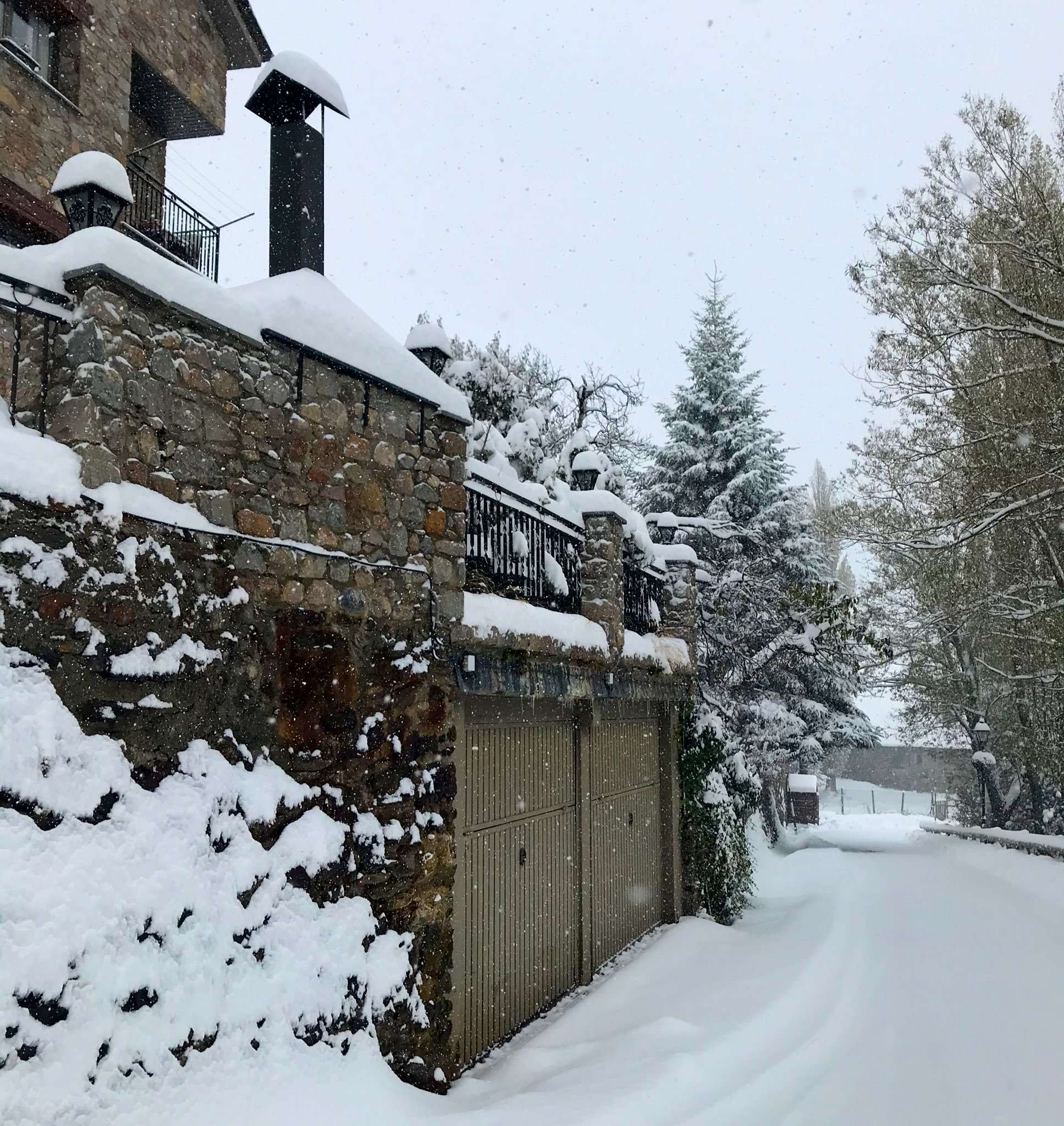 neu_canillo_ricard_riba_14112019