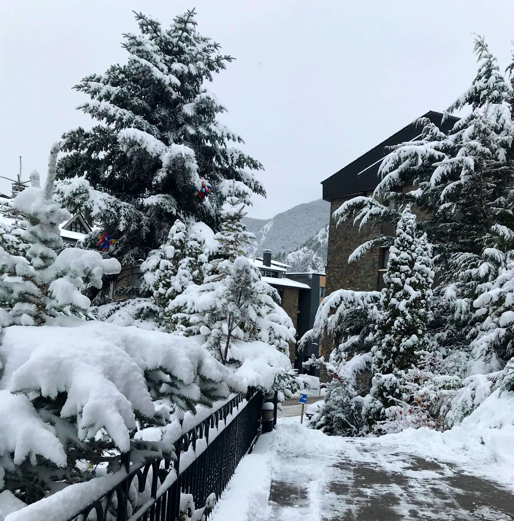 neu_canillo_ricard_riba_3_14112019