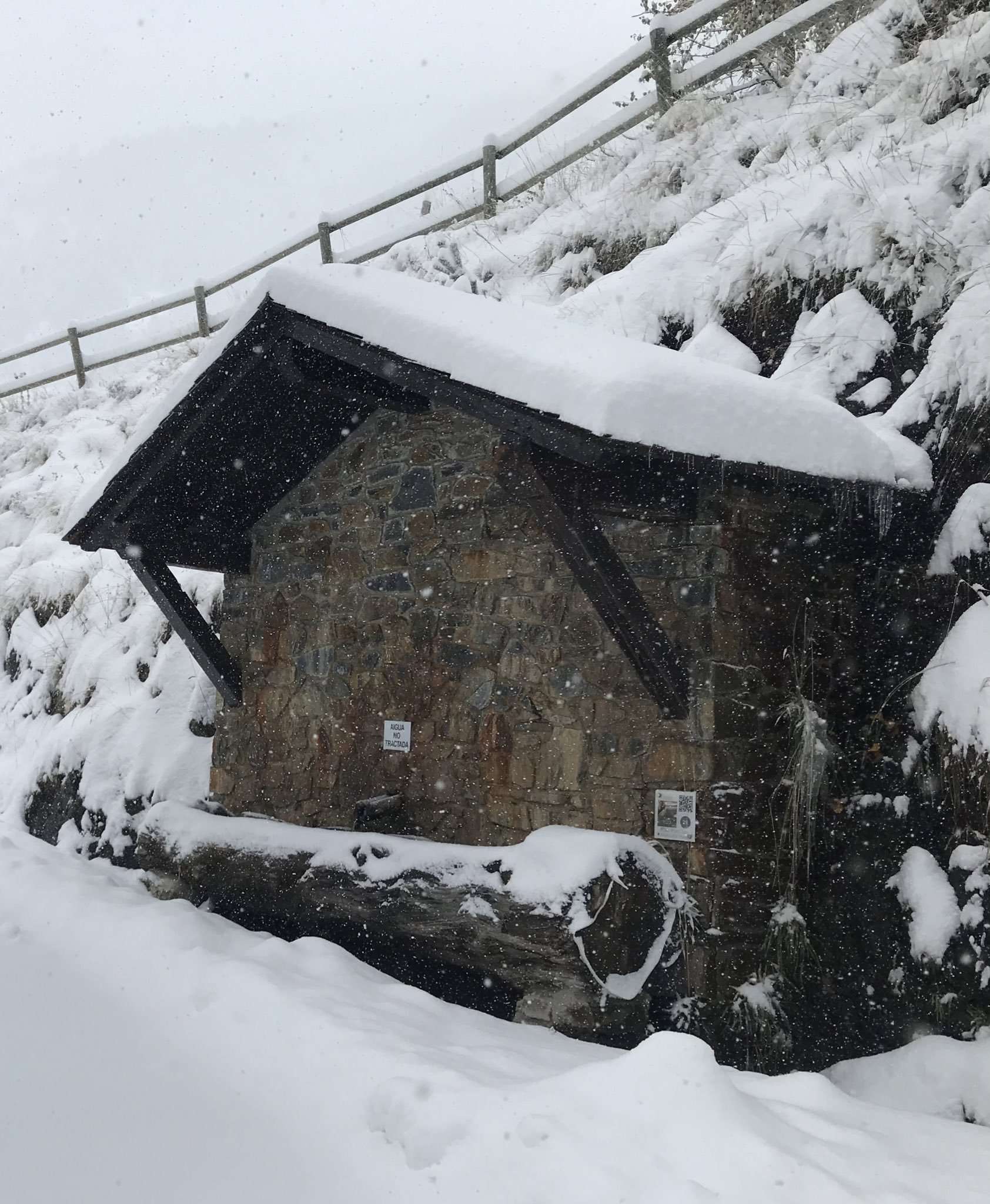 neu_canillo_ricard_riba_4_14112019