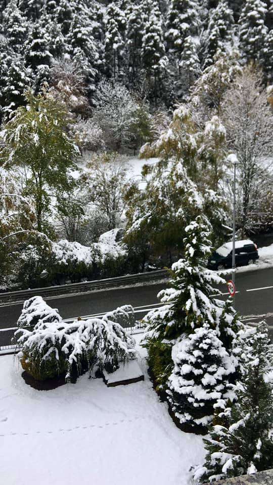 neu_carmen_soler_carretera_erts_18112019