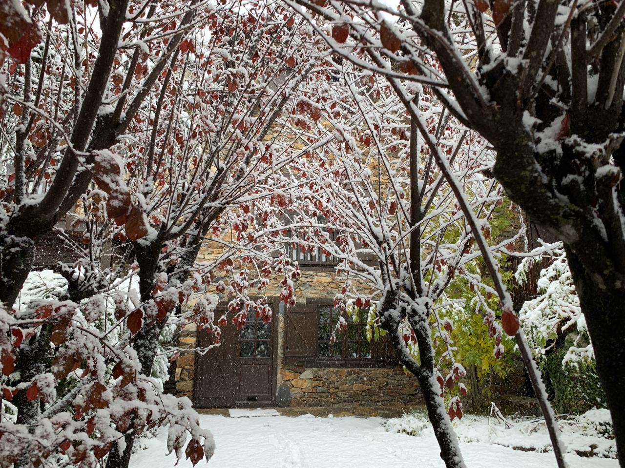 neu_elisabet_arajol_ordino_2_14112019