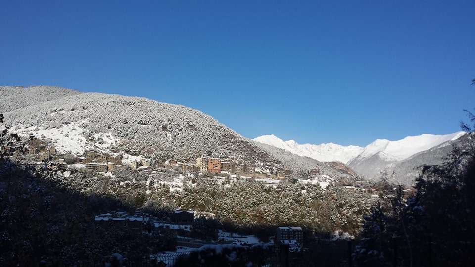neu_nando_llorens_16112019
