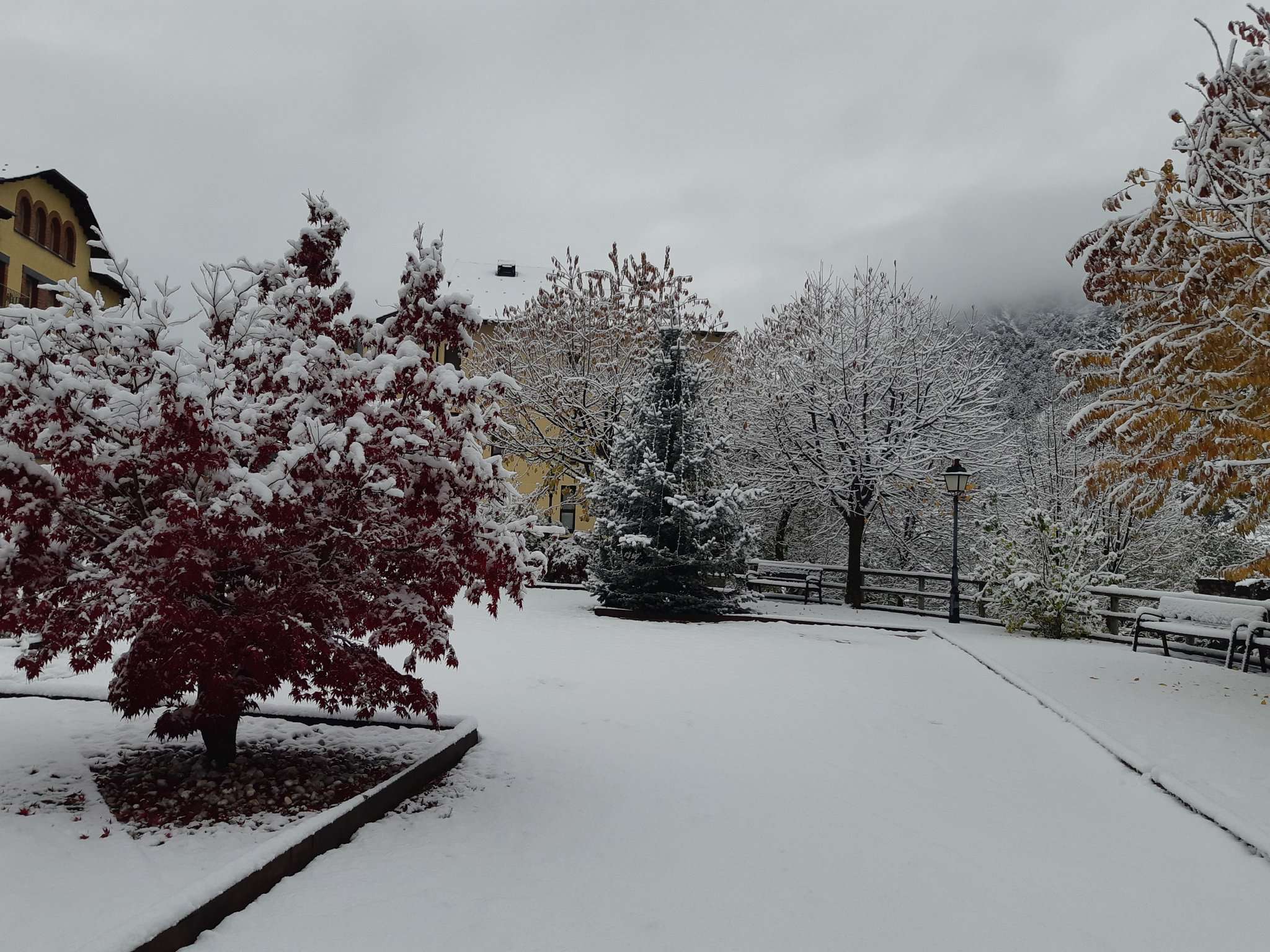 neu_ordino_gerard_puig_15112019