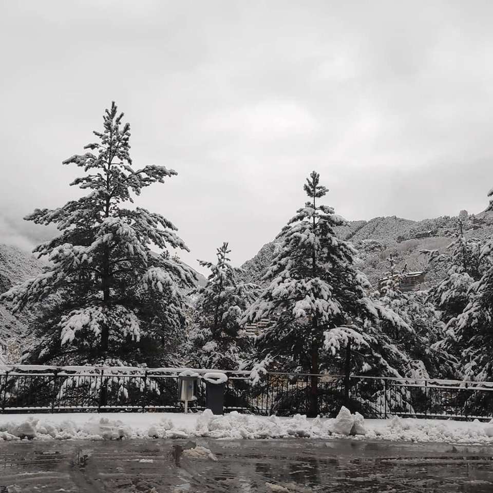 neu_teresa_canicoba_16112019