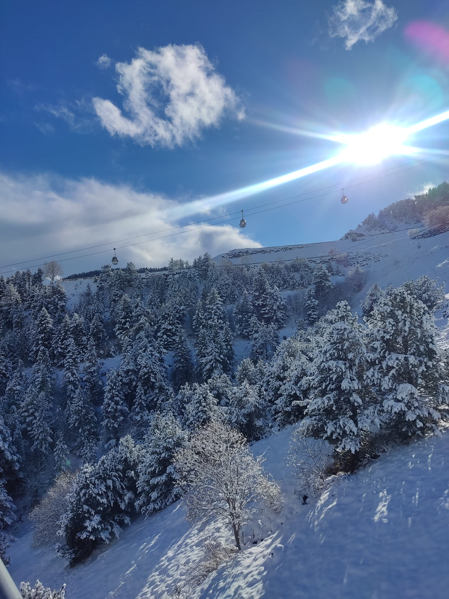 roser_200123