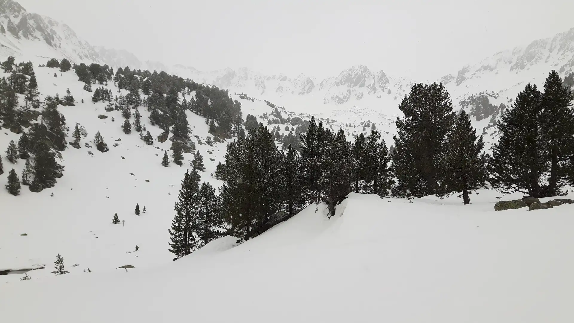 20170426_110600