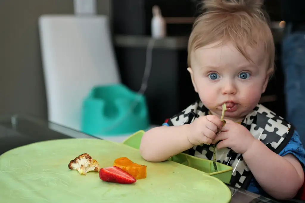 babyledweaning_blog_25102017