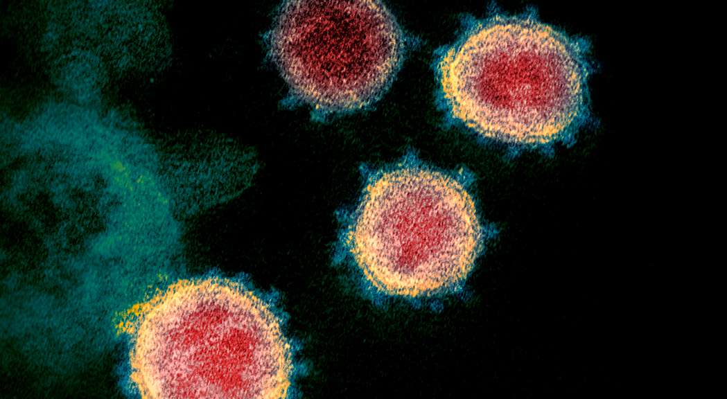 novel_coronavirus_sars_cov_2__1