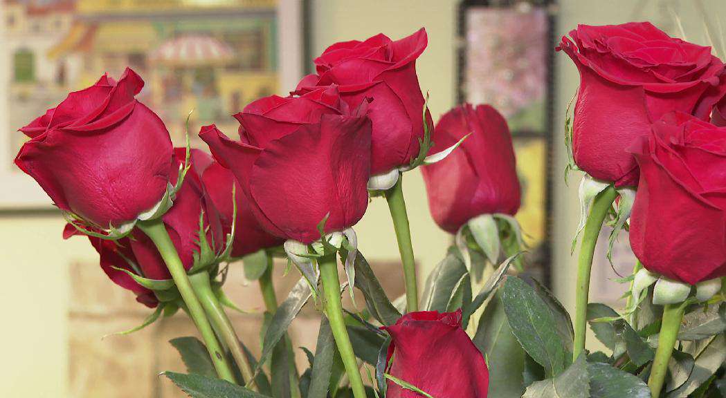 andorradifusio_rtva_pujada_preus_encareix_roses_sant_jordi_2042022134622
