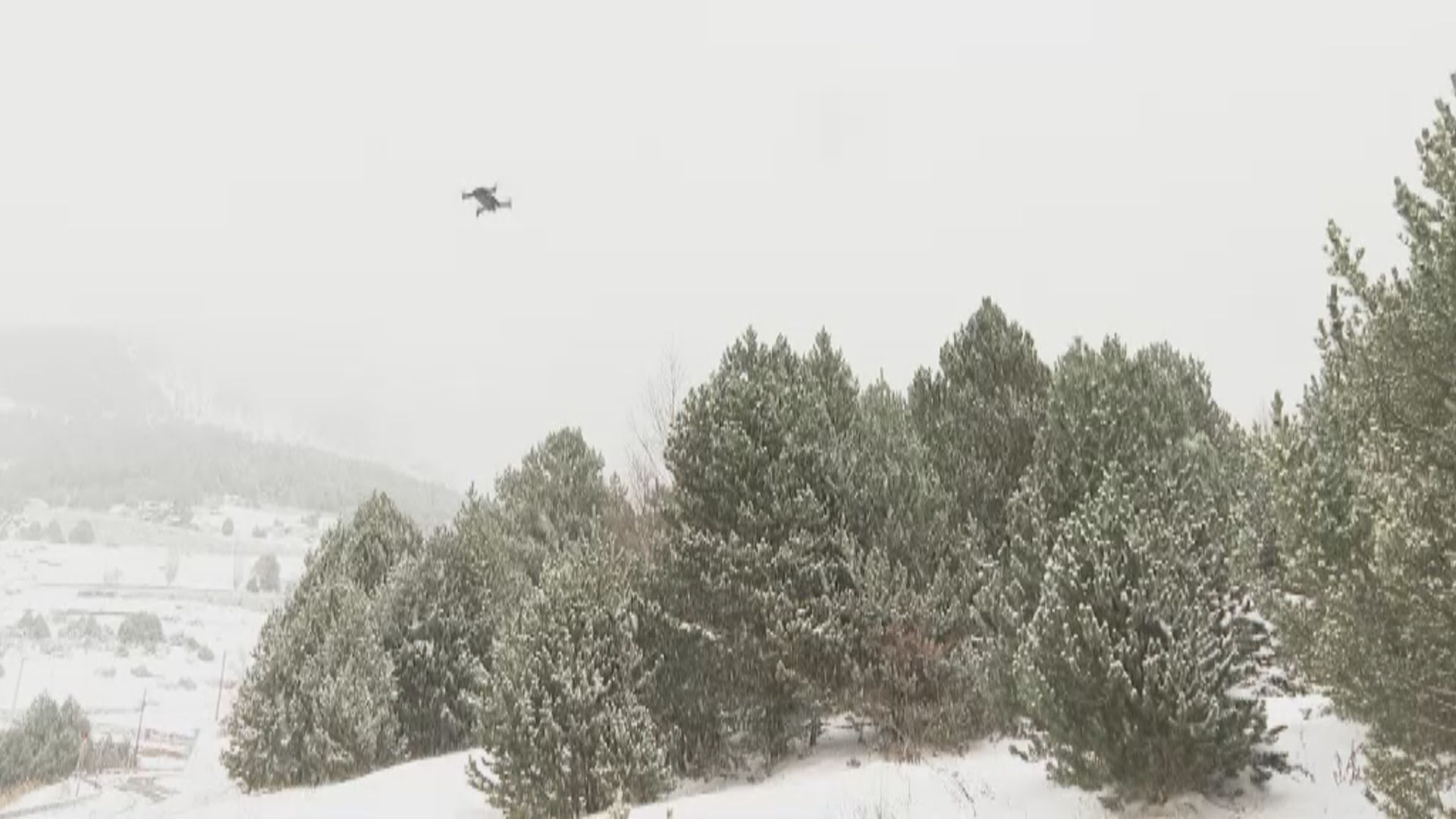 andorradifusio_rtva_buscant_solucions_impacte_canvi_climatic_1112202414318