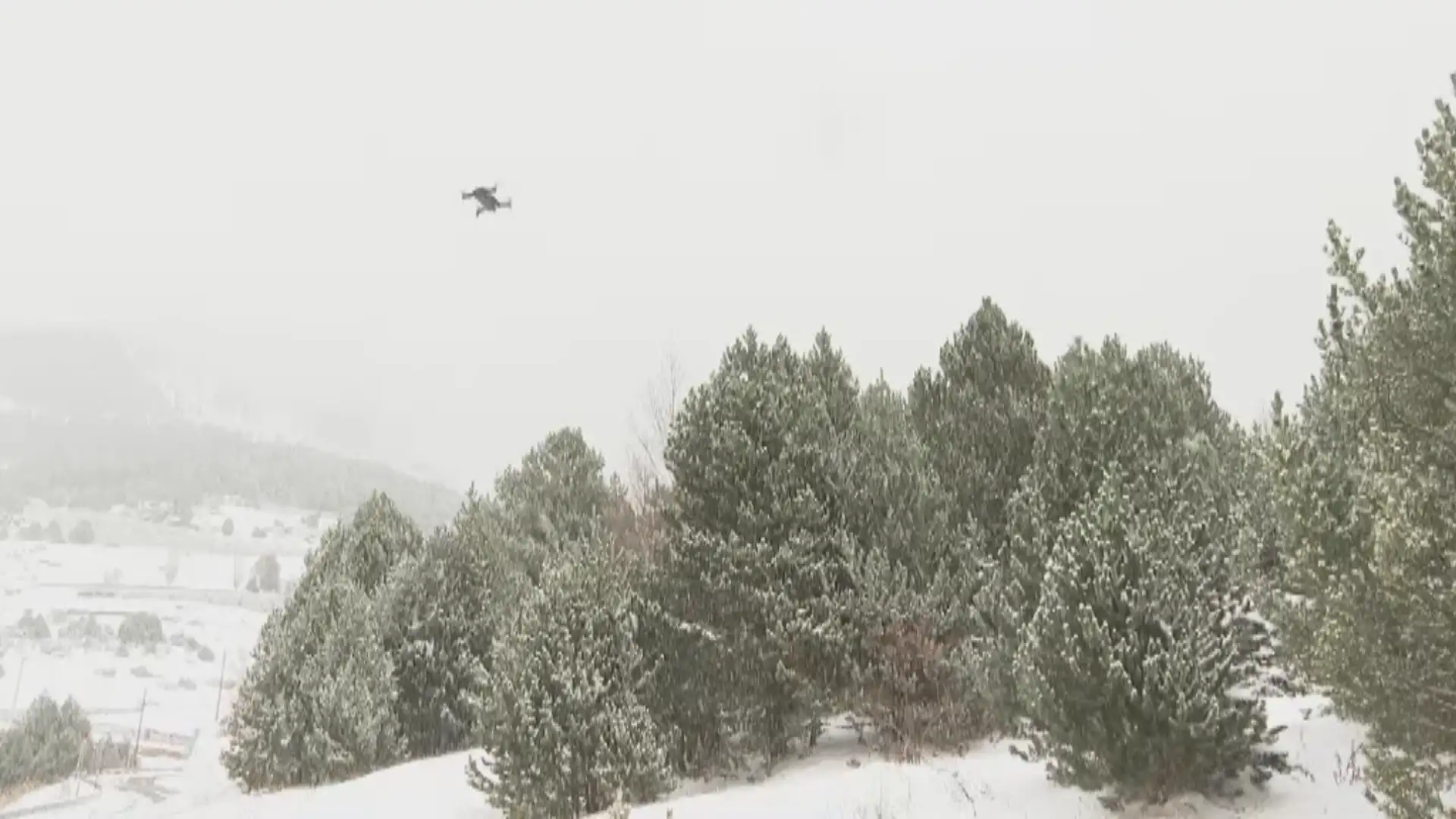 andorradifusio_rtva_buscant_solucions_impacte_canvi_climatic_1112202414318