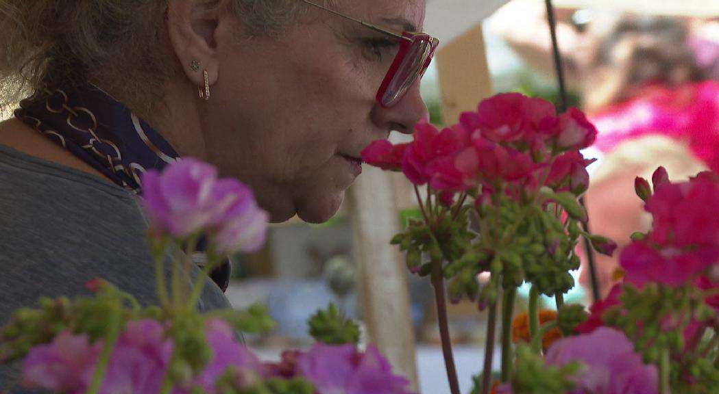 andorradifusio_rtva_ambient_floral_darrer_dia_andoflora_2552025134129